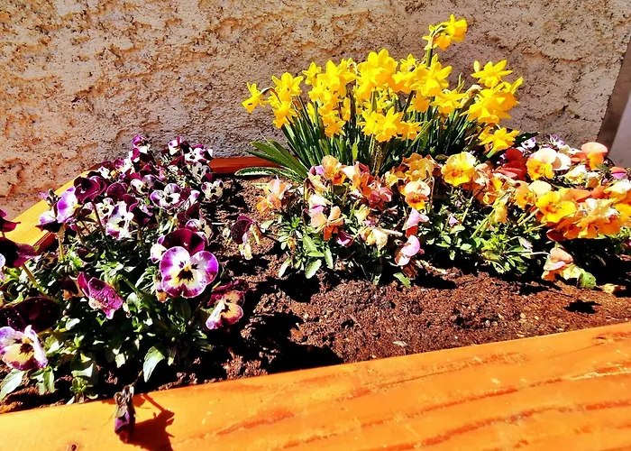 Tatil Evi Near Slopes Muhr